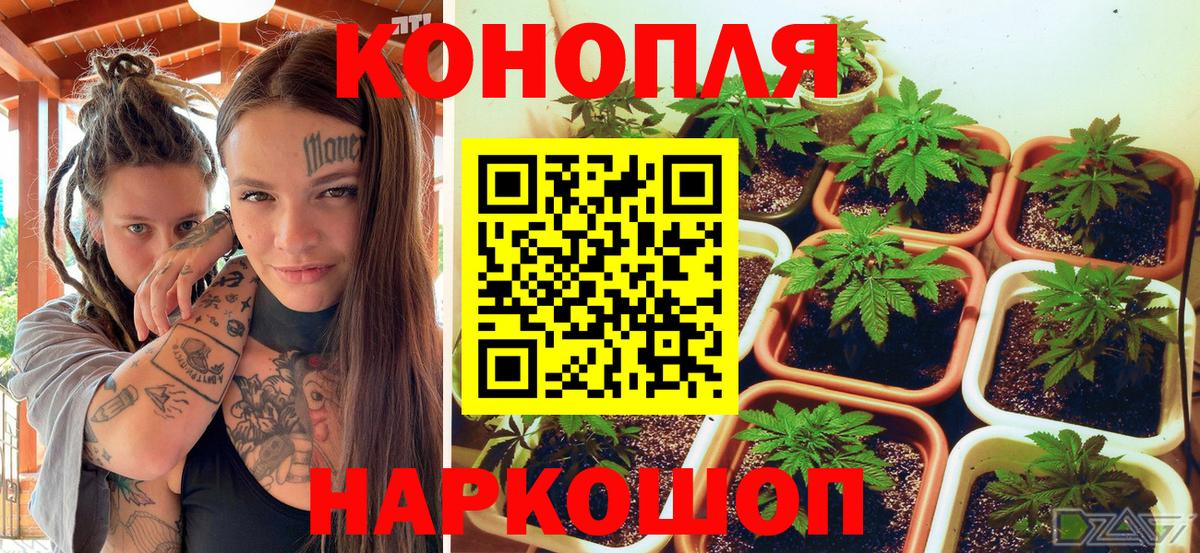 Канабис SATIVA & INDICA Обнинск